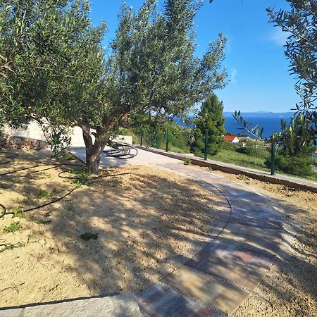 Holiday Home Vineyard House Бол Экстерьер фото