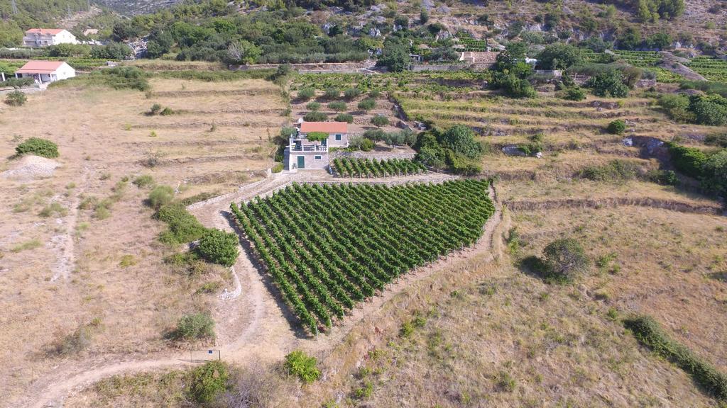 Holiday Home Vineyard House Бол Экстерьер фото