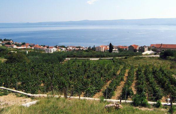 Holiday Home Vineyard House Бол Экстерьер фото