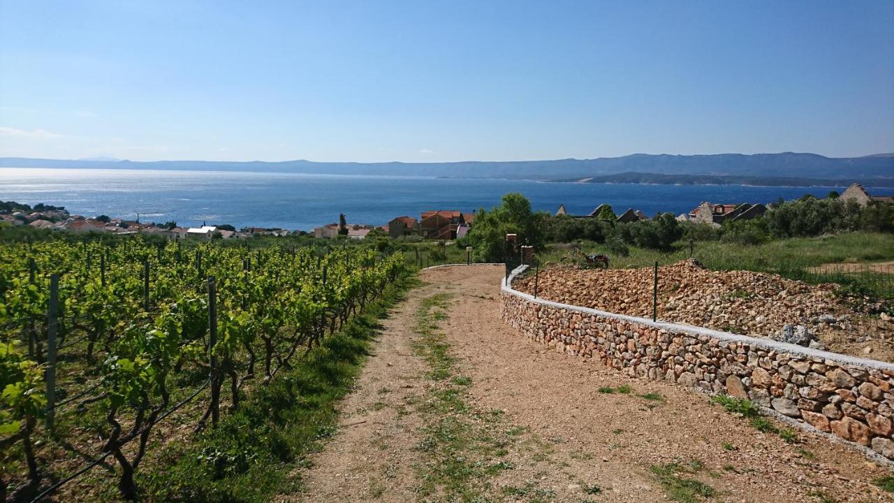 Holiday Home Vineyard House Бол Экстерьер фото