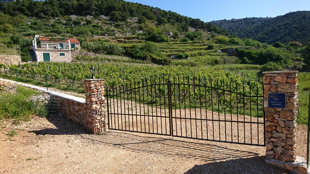 Holiday Home Vineyard House Бол Экстерьер фото